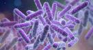 Image - Antibiotic resistance is a global health challenge that can't be ignored